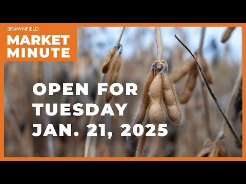 Soybeans up sharply Tuesday morning | Opening Market Minute cover art