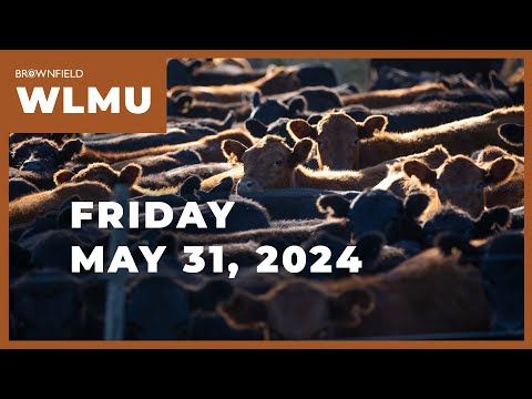Cattle prices slip in the holiday shortened week | Weekly Livestock Market Update cover art