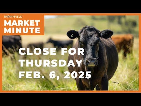 Cattle closed sharply lower Thursday | Closing Market Minute cover art