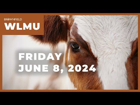 Another sluggish week for cattle | Weekly Livestock Market Update cover art