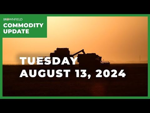 Soybean markets have a tough road to go | Weekly Commodity Market Update cover art