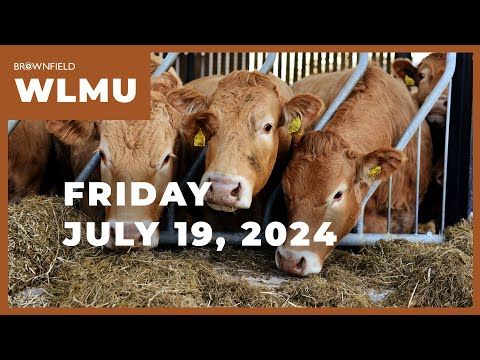 Cattle on Feed up just over 0.5% from last year | Weekly Livestock Market Update cover art