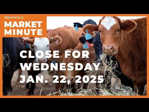 Cattle saw big midweek gains | Closing Market Minute cover art