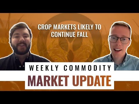 Crop markets likely to continue fall | Weekly Commodity Market Update for 2/20/24 cover art