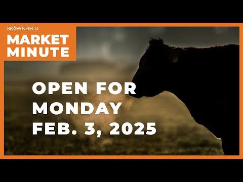 Cattle are lower Monday | Opening Market Minute cover art