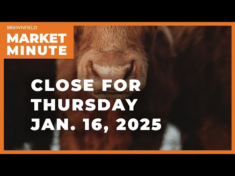 Cattle futures were lower Thursday | Closing Market Minute