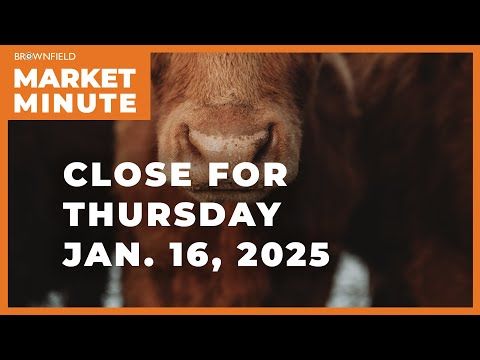 Cattle futures were lower Thursday | Closing Market Minute cover art