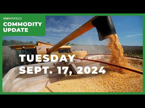 Strong USDA corn yield estimate weakens corn market | Weekly Commodity Market Update cover art