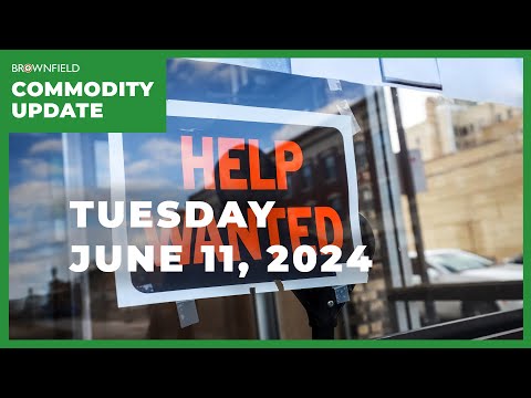 Jobs reports give positive signals | Weekly Commodity Market Update