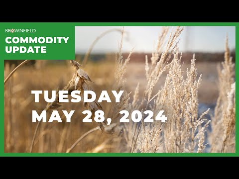 Russian wheat pressured by drought and freeze | Weekly Commodity Market Update