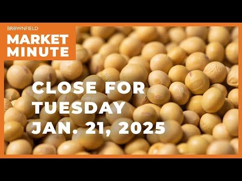 Soybeans were up sharply Tuesday | Closing Market Minute cover art
