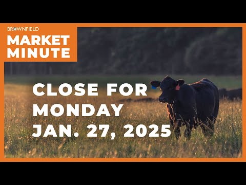 Live cattle were mixed Monday | Closing Market Minute