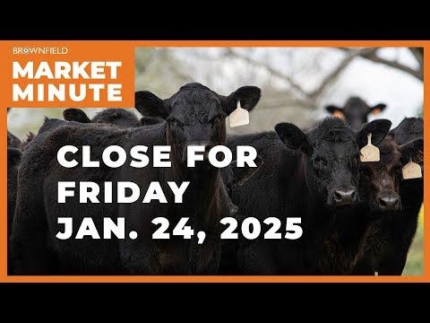 Cattle closed higher Friday | Closing Market Minute cover art