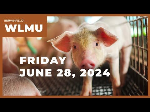 Hog inventory up 1%, corn planted acreage larger than expected | Weekly Livestock Market Update cover art