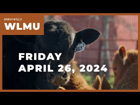Feeder cattle prices $4.00 to $9.00 higher this week | Weekly Livestock Market Update