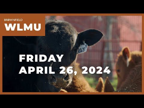 Feeder cattle prices $4.00 to $9.00 higher this week | Weekly Livestock Market Update cover art