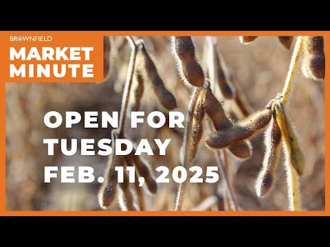 Soybeans are up Tuesday morning | Opening Market Minute