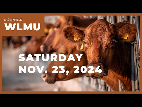 October placements up 5% on the year | Weekly Livestock Market Update