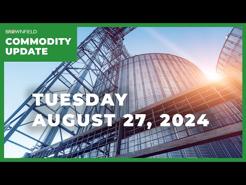 Marketing vs. storing this harvest | Weekly Commodity Market Update