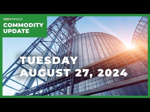 Marketing vs. storing this harvest | Weekly Commodity Market Update cover art