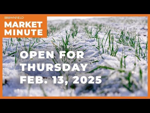 Wheat is up Thursday morning | Opening Market Minute cover art