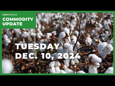 Global shifts impacting cotton, corn markets | Weekly Commodity Market Update