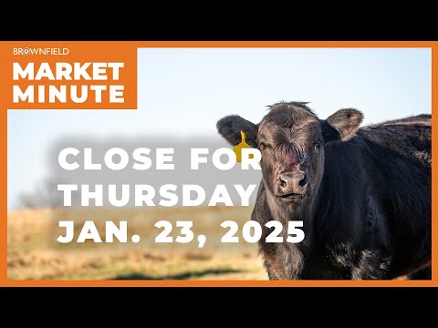 Cattle were higher Thursday | Closing Market Minute