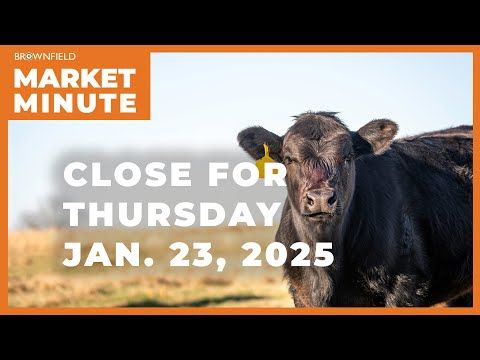 Cattle were higher Thursday | Closing Market Minute cover art
