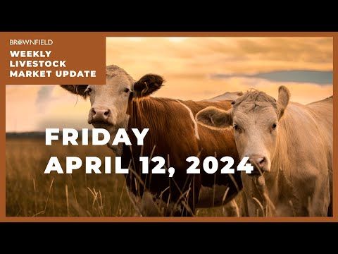 Feeder cattle prices $2 to $5 lower for the week | Weekly Livestock Market Update cover art