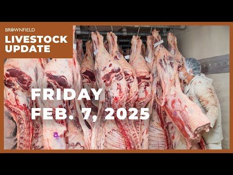 Beef imports up 24% in 2024 | Weekly Livestock Market Update cover art