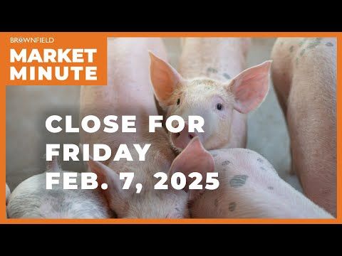 Hogs were up modestly Friday | Closing Market Minute cover art