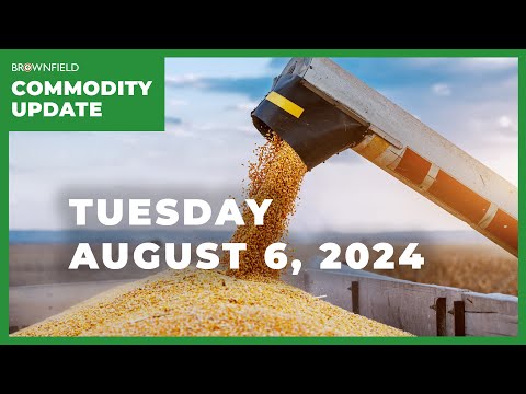 Private U.S. corn, soybean production estimates come in strong | Weekly Commodity Market Update