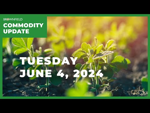 Analysis of early crop condition ratings shows positive trends | Weekly Commodity Market Update