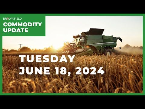Wheat harvest rolls on while dryness creeps in the Eastern Cornbelt | Weekly Commodity Market Update cover art