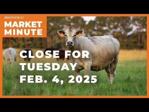 Cattle closed lower Tuesday | Closing Market Minute cover art