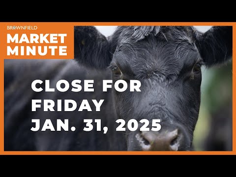 Cattle closed higher Friday | Closing Market Minute