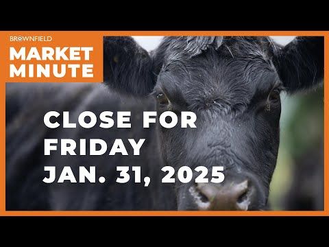 Cattle closed higher Friday | Closing Market Minute cover art