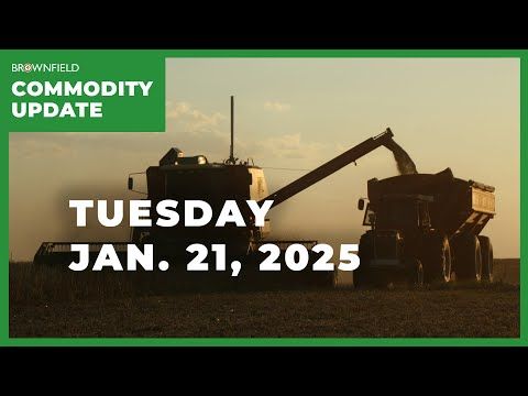 The soybean market might have raised its floor | Weekly Commodity Market Update cover art