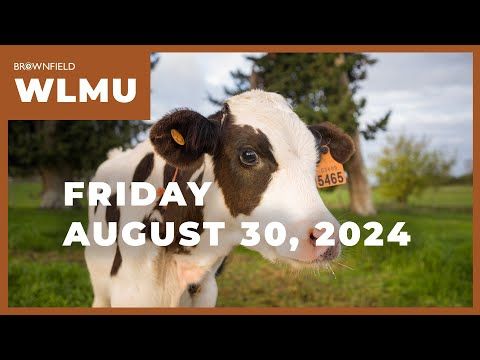 Live and feeder cattle futures higher for the week | Weekly Livestock Market Update cover art