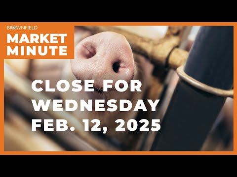 Hogs were up Wednesday | Closing Market Minute cover art