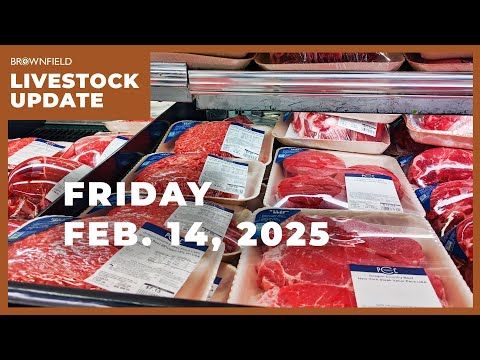 USDA raises beef production 3% | Weekly Livestock Market Update cover art