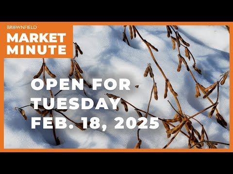 Soybeans are up Tuesday morning | Opening Market Minute cover art