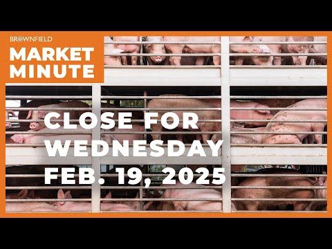 Hogs were sharply lower Wednesday | Closing Market Minute cover art