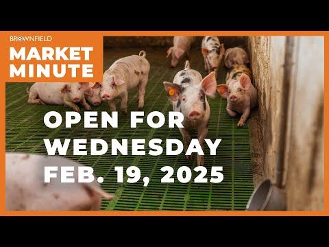 Hogs are lower Wednesday | Opening Market Minute cover art