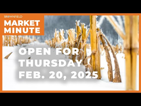 Corn is up Thursday morning | Opening Market Minute