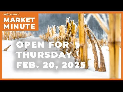 Corn is up Thursday morning | Opening Market Minute cover art