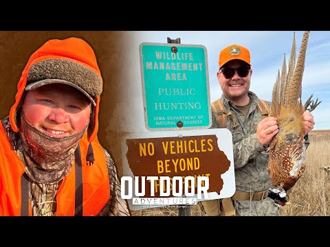 Reflecting on the 2024 Pheasant Season with Iowa Bird Chaser | Outdoor Adventures