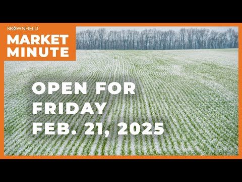 Wheat is higher Friday morning | Opening Market Minute cover art