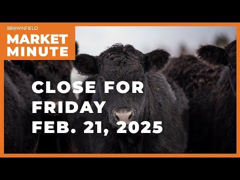 Cattle were higher Friday | Closing Market Minute cover art