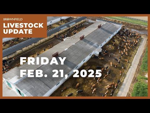 Weekly Livestock Market Update cover art